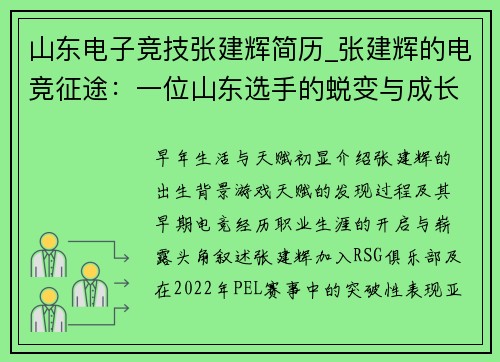 山东电子竞技张建辉简历_张建辉的电竞征途：一位山东选手的蜕变与成长